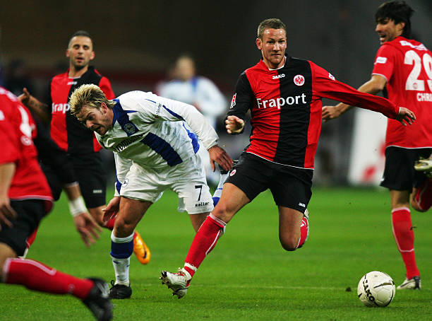 他如同阿利 他如同阿利